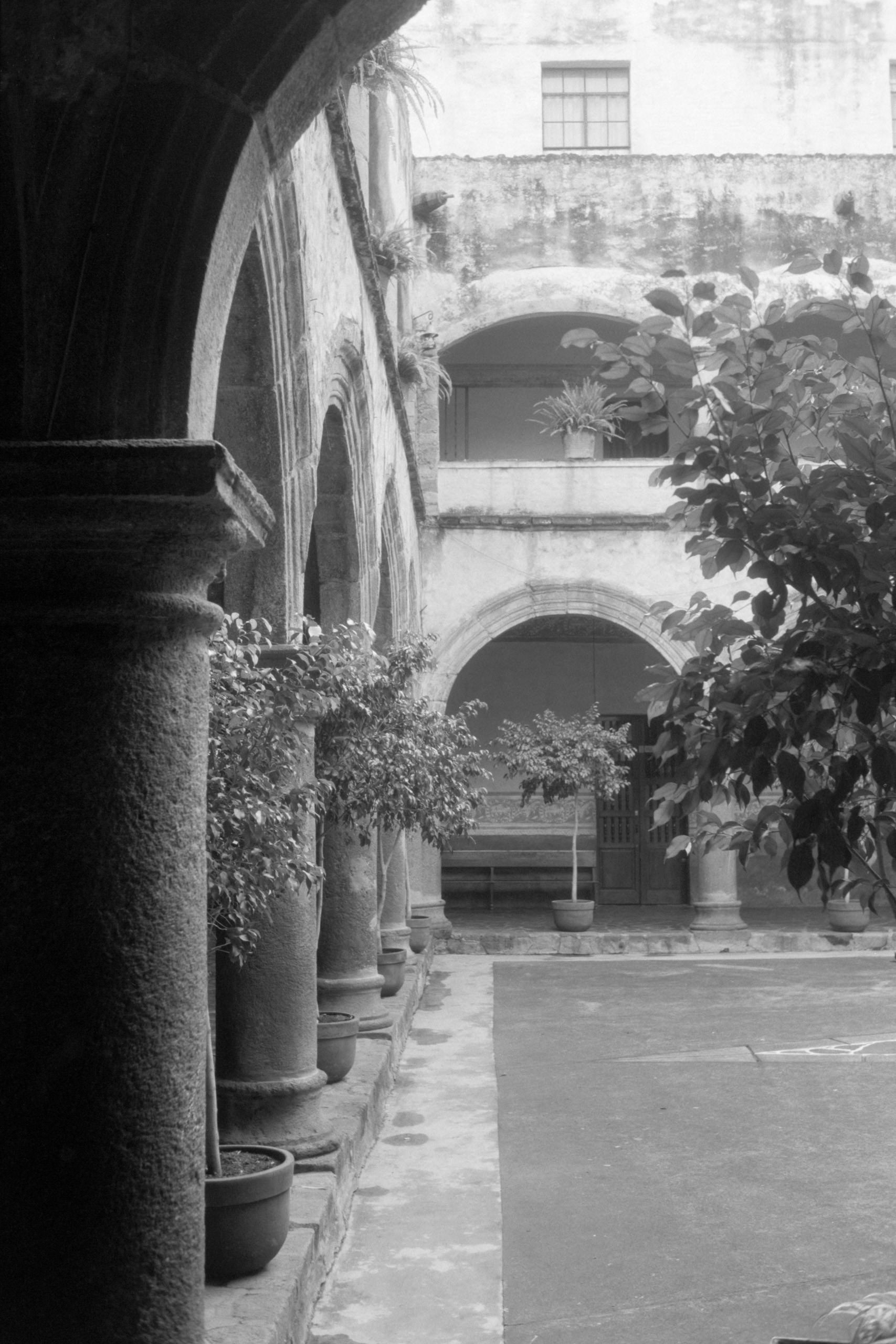 AHP FilmScan 240807 0549